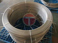 ASTM 304L 316L 2205 2507 825 625 Stainless Steel Coil Tube